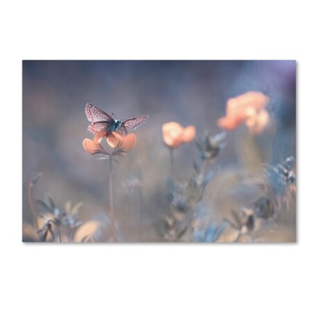 Trademark Fine Art Fabien Bravin 'The Lady Of Lothlorien' Canvas Art, 16x24 1X00383-C1624GG